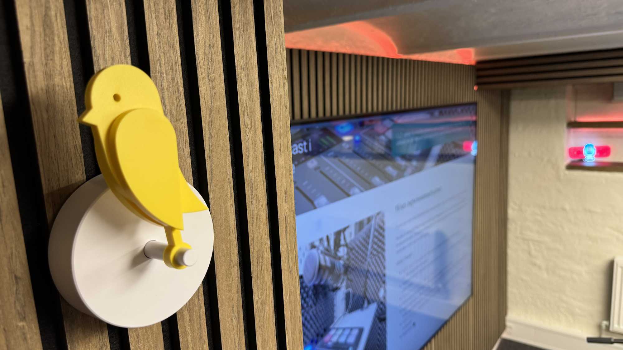 Birdie i streamingstudiet holde øje med luftkvaliteten,,,